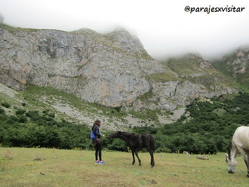 Pradera de Fuente Dé