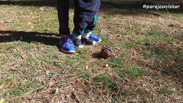 escapadas con niños cerca de Madrid
